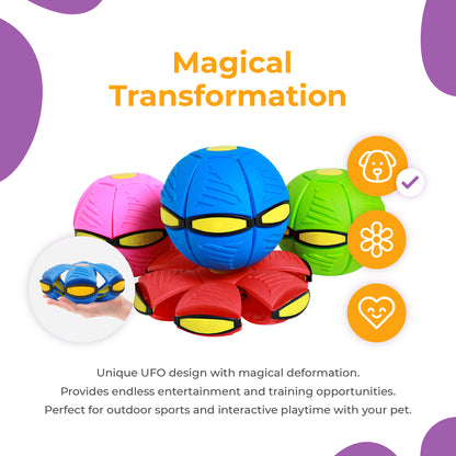 UFO Dog Frisbee - Magical Transformation for Interactive Outdoor Play and Training Fun!