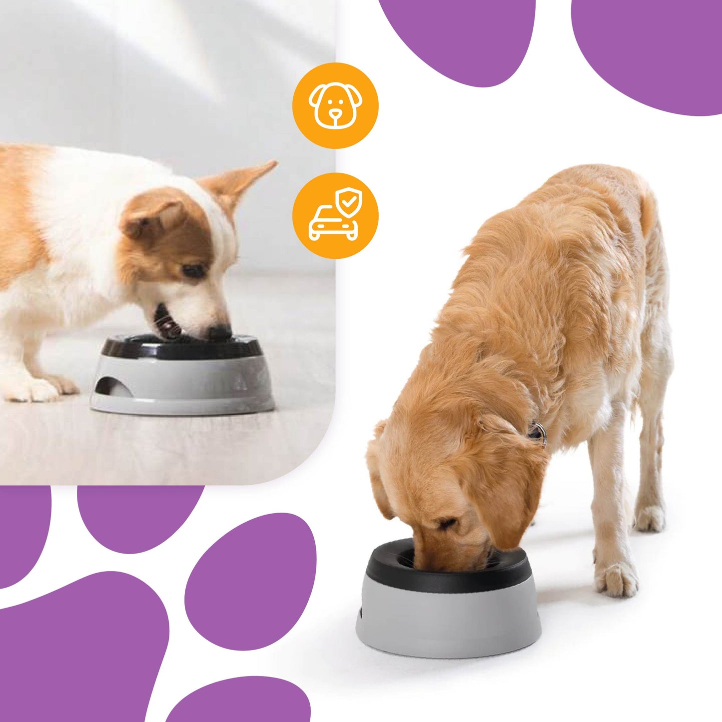 Smart Pet Bowl Slow Feeder, and Non-Slip Design, Bonus Water Bottle Feeder - No More Spills!